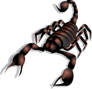 Асцендент Скорпион: Тайната на дълбините, която преражда и преобразява. Илюстрация на мрачен морски бряг с луна, символизираща мистерията и трансформацията на Скорпиона.